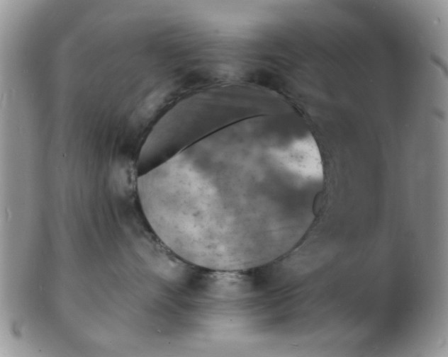 X0000103300528200809122032