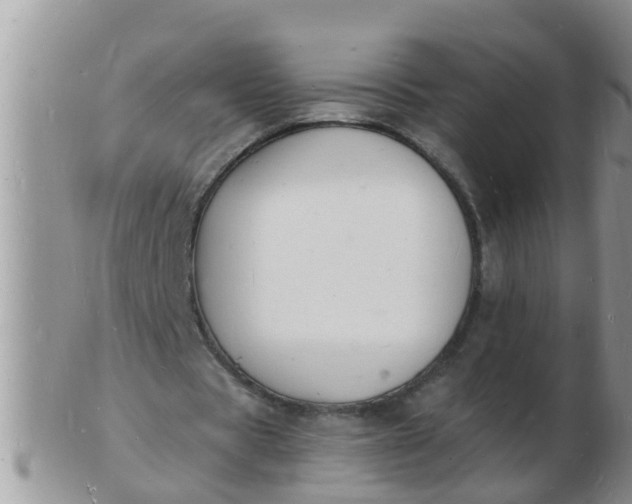 X0000103300529200809122032