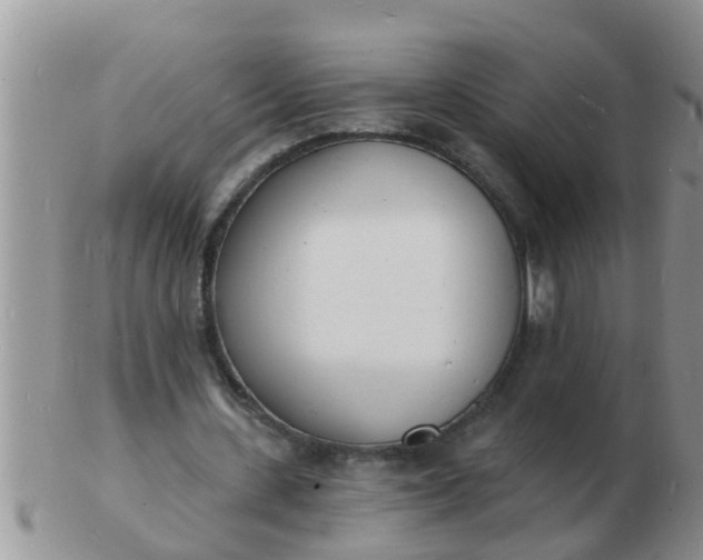 X0000103300531200809122032