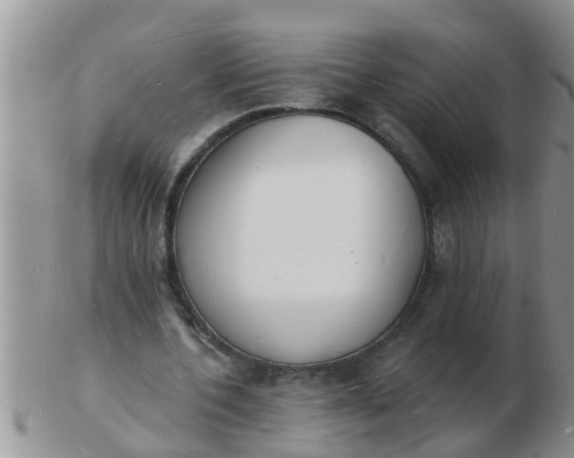 X0000103300532200809122032