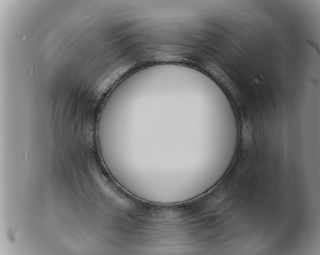 X0000103300533200809122032