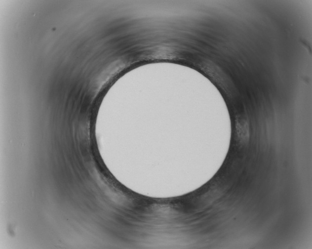 X0000103300534200809122032