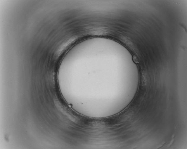 X0000103300535200809122032