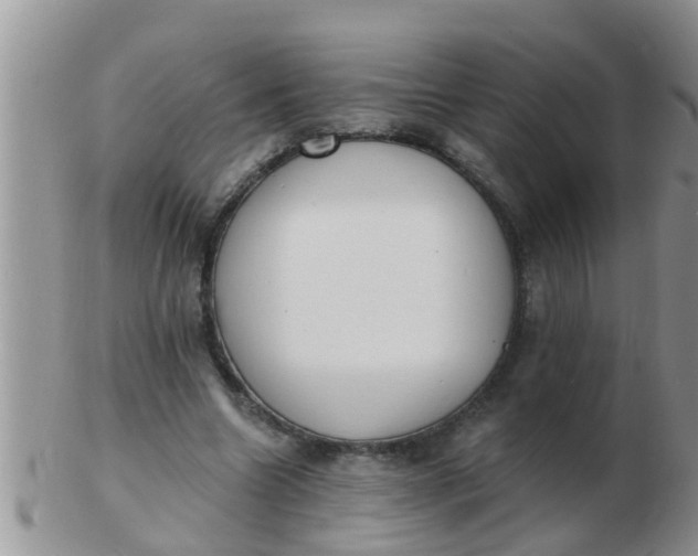 X0000103300538200809122032