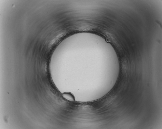 X0000103300539200809122032