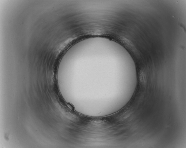 X0000103300540200809122032