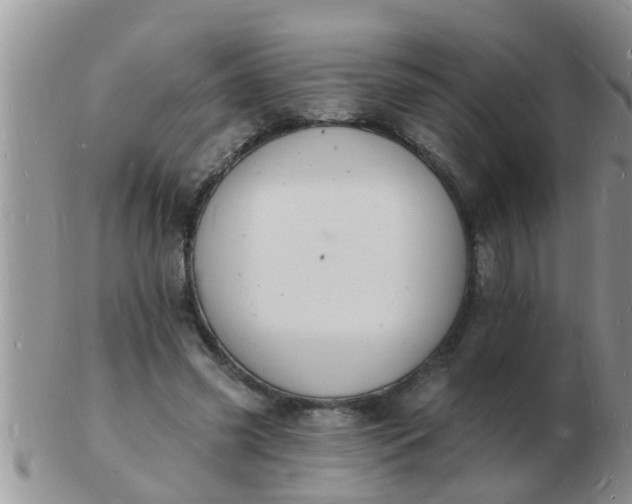 X0000103300541200809122032