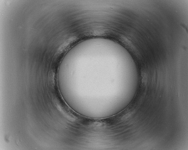 X0000103300542200809122032