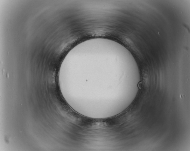 X0000103300543200809122032