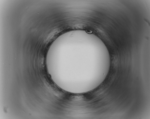 X0000103300548200809122032