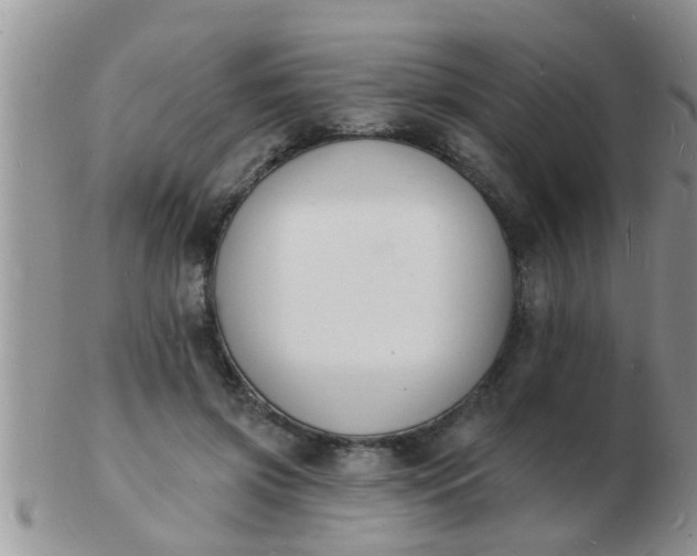 X0000103300549200809122032