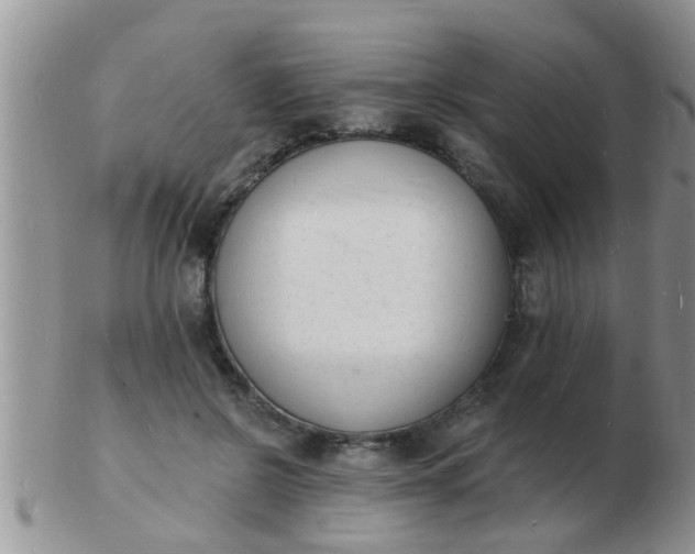 X0000103300550200809122032