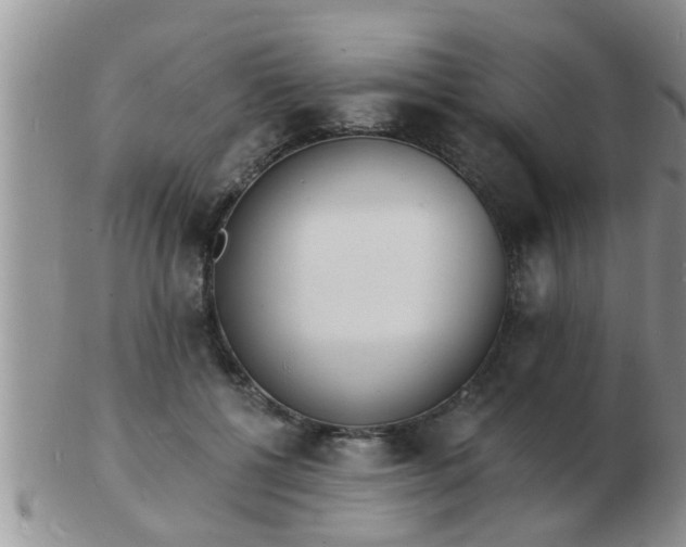 X0000103300552200809122032