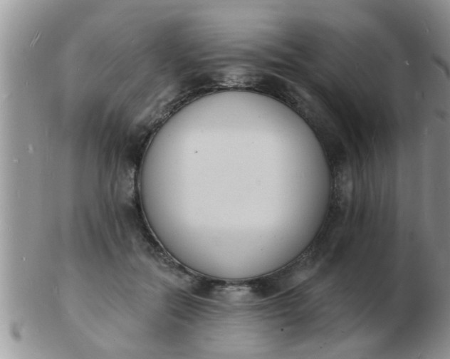 X0000103300554200809122032