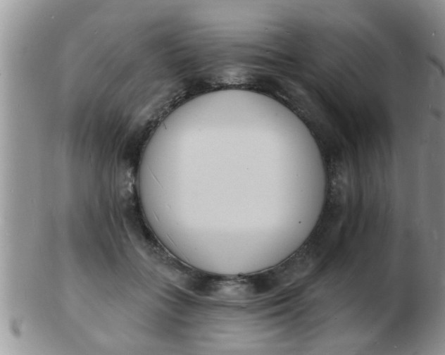 X0000103300555200809122032