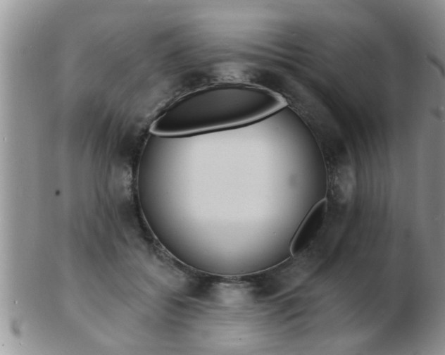 X0000103300556200809122032