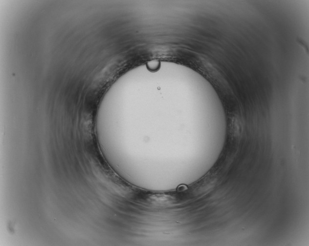 X0000103300557200809122032