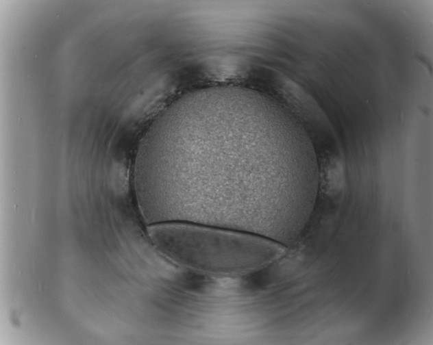 X0000103300558200809122032