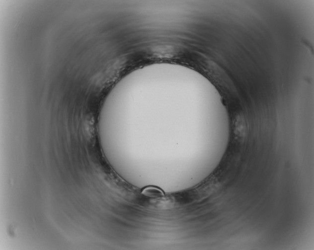 X0000103300559200809122032