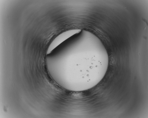 X0000103300560200809122032