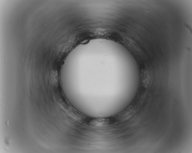 X0000103300563200809122032