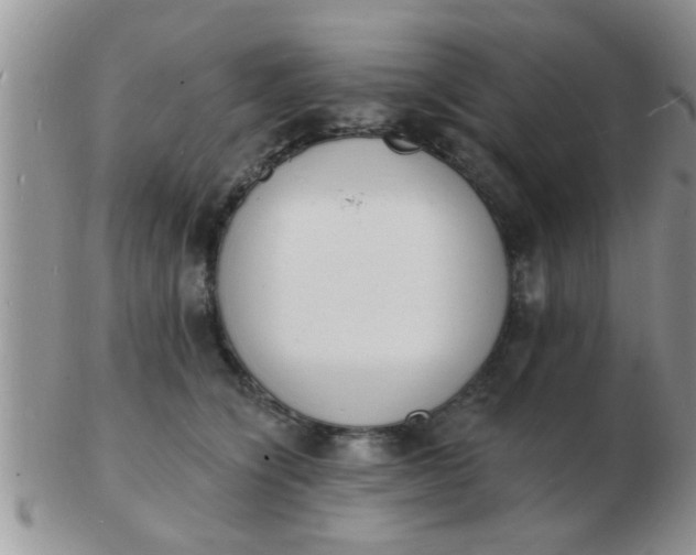 X0000103300564200809122032