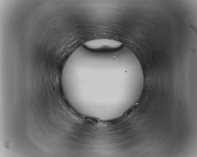 X0000103300566200809122032