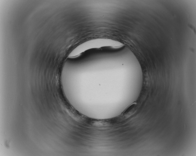 X0000103300568200809122032