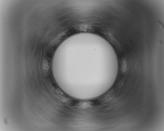 X0000103300569200809122032