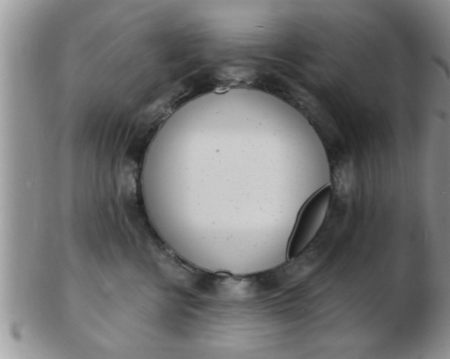 X0000103300570200809122032