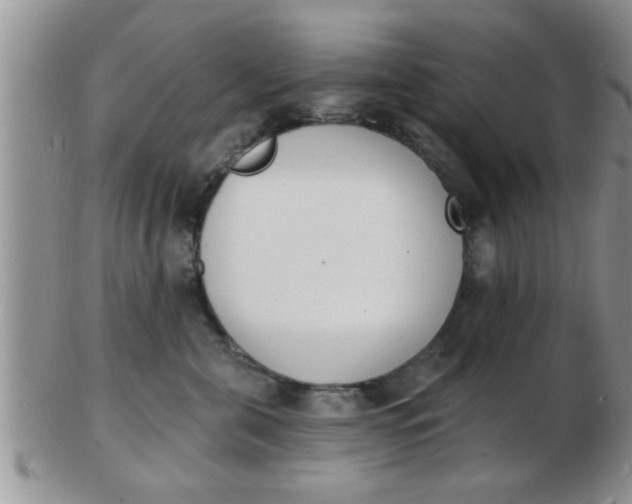 X0000103300571200809122032