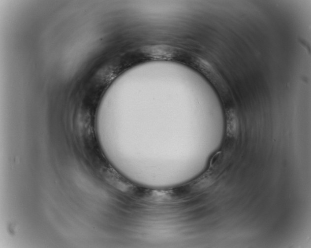 X0000103300573200809122032