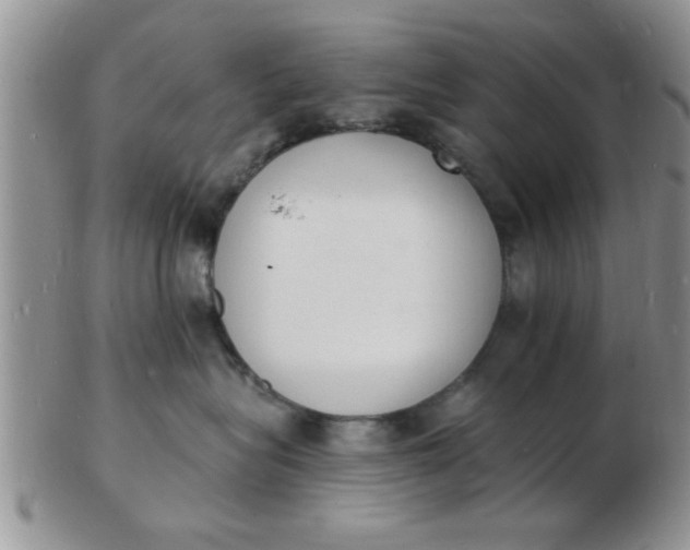 X0000103300575200809122032