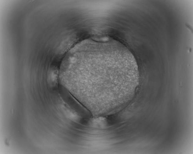 X0000103300576200809122032