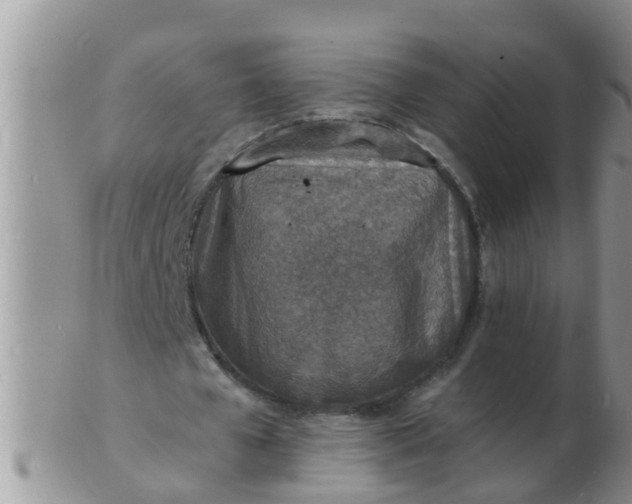 X0000103300577200809122032