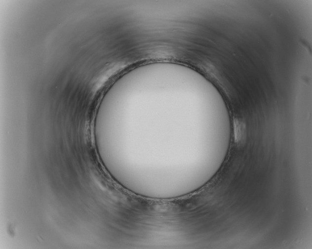 X0000103300579200809122032