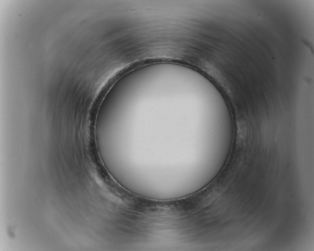 X0000103300580200809122032