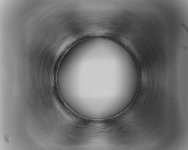 X0000103300582200809122032