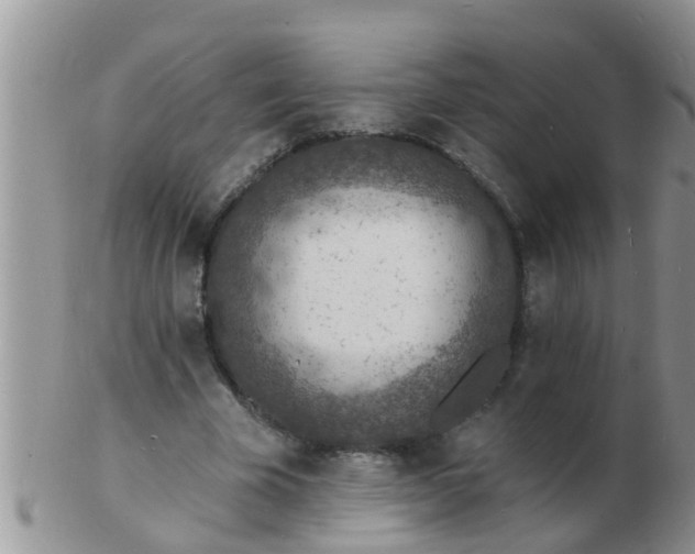 X0000103300585200809122031