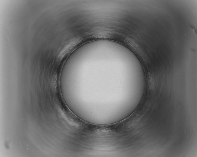 X0000103300586200809122031