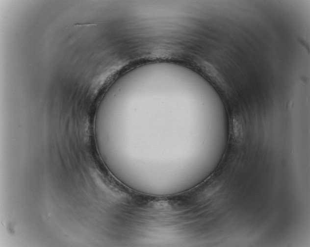 X0000103300588200809122031