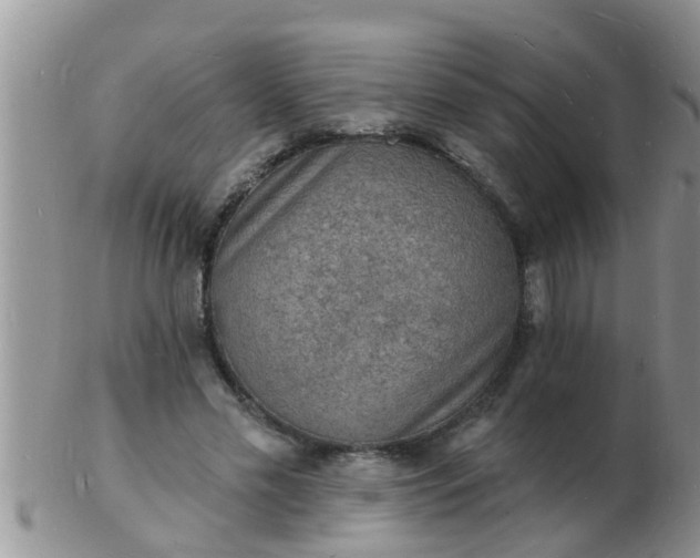 X0000103300589200809122031