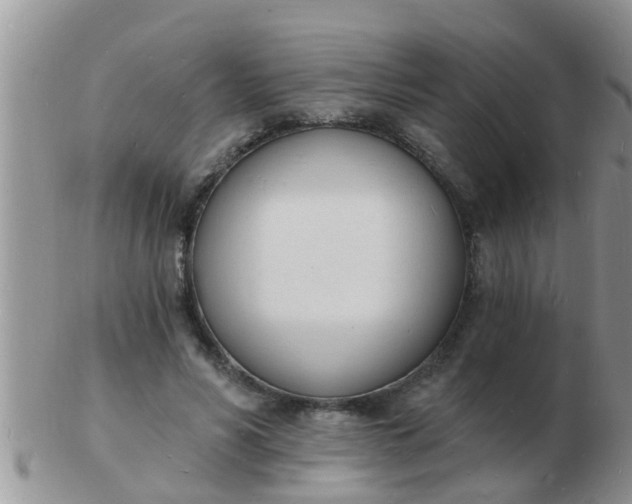 X0000103300590200809122031