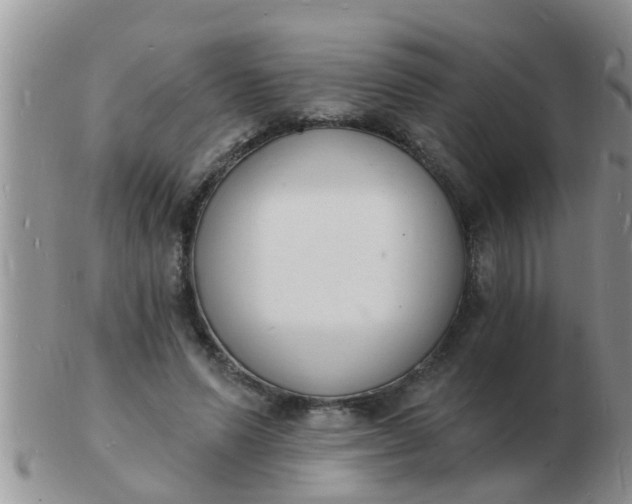 X0000103300591200809122031