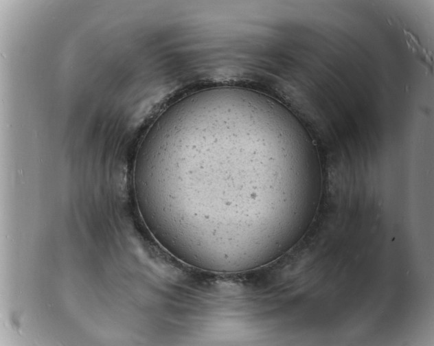 X0000103300592200809122031