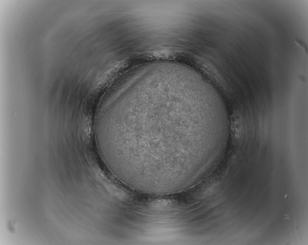 X0000103300593200809122031