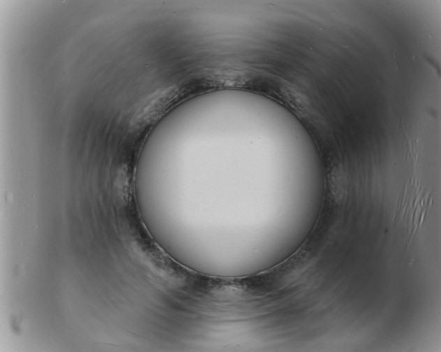 X0000103300594200809122031