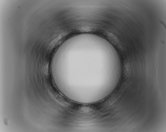 X0000103300596200809122031