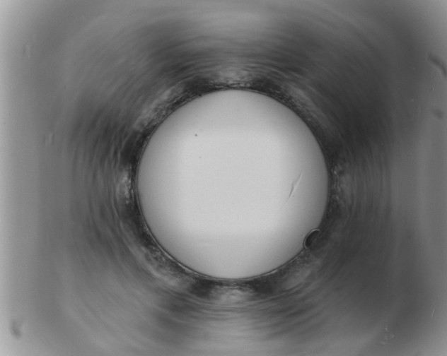 X0000103300597200809122031