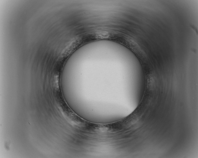 X0000103300598200809122031